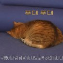 냠냠 이미지