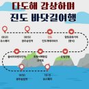 진도 공공터미널 | 광주에서 하는 남도한바퀴 투어_ 당일치기여행 [진도]