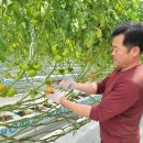 담양수퍼 이미지