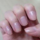 군산 수송동 미유네일 자석젤맛집 추천