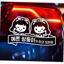 제제 - 34840 | 제제