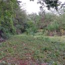 황금빛농장 이미지