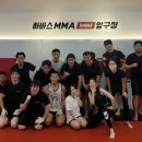 하바스MMA 압구정 이미지