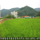 가야산공인중개사사무소 이미지