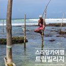영화마을공항1호점 | 스리랑카 패키지여행 루트 경비 트립 빌리지 6박 8일 일정 후기