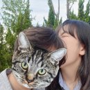 여주-0927 이미지