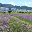 강변공원주차장 이미지