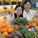 우리농산물마트 이미지