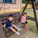 진전면959 이미지