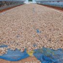 종구농장 이미지