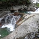 농협원대동 이미지