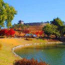 &#34;입장료 0원인데 주차도 편하네&#34;... 억새와 단풍이 어우러진 CNN 선정 한국의 아름다운 명소 이미지