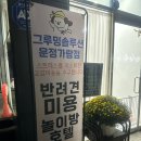 그루밍 솔루션 | 비숑칠숑이 픽한 강아지미용 그루밍솔루션