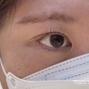 코하루 - 연제구 중앙대로1043번길 20 | 사당속눈썹펌 코하루 스튜디오 방문 후기