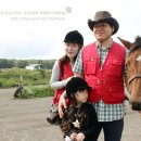 제주교래승마장
