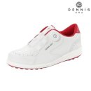 데니스골프 이미지