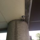 상무지구입구 이미지