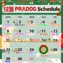 프라독 네이버블로그