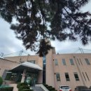 송현골프클럽 이미지