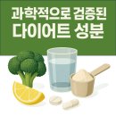 체지방 태우는 성분 TOP 5 – 과학적으로 검증된 다이어트 성분은?