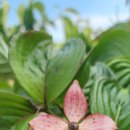 그린농장2 이미지