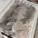 부산광역시수협 다대공판장 화장실 | [부산] 삼락오토캠핑장 A-2사이트 - 뜨거웠던 여름캠핑