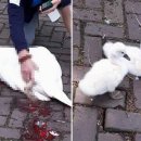 삼형제푸드 이미지