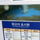 남강배달횟집