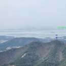 김대중대교(무안) 이미지