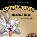 벅스 DVD