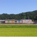 거창-마리-3 이미지