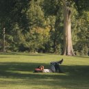 아지랑이 이미지