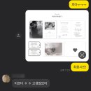 베르니프로젝트 네이버블로그