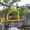 김치타운 회의실(3층) | 서울 을지로 야장맛집 옥상에서 먹는 삼겹살 지지타운 내돈내산 솔직후기