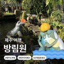 방림원 | [제주도 제주시]제주 한경면 가볼만한곳｜방림원 내돈내산 제주투어패스 무료 입장 후기(feat. 카페...