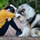 단골마켓 이미지