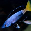 패밀리 아쿠아 이미지