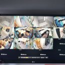 스터디고 가톨릭대점 이미지