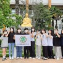 데메테르H 이미지