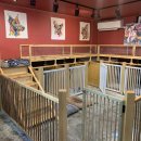 쭈 애견미용 이미지