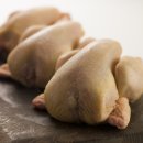 주식회사 대성푸드