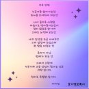 서미영 카카오 검색결과