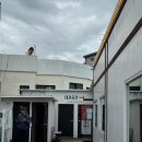 바른갈치 | 제주 갈치조림 맛집 바른갈치 내돈내산 후기