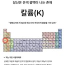 코우하우스