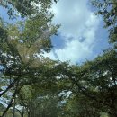 백양사 | 여름 백양사 템플스테이 후기｜무더위 속 진짜 쉼. 가을단풍구경 후기