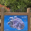 4월26일 수우도 은박산(경남/통영) 산행 [1시간조기출발] 이미지