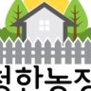 건강 만물상 스토어