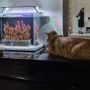 24시 해든동물의료센터 민락점 이미지