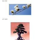 하천초등학교 이미지