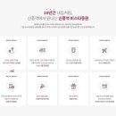 비스타 카카오 검색결과